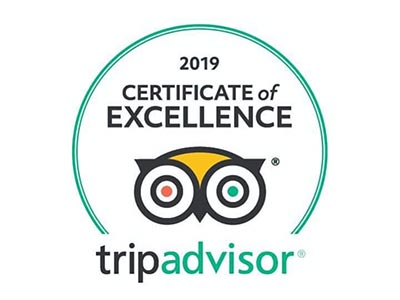 tripadvisor